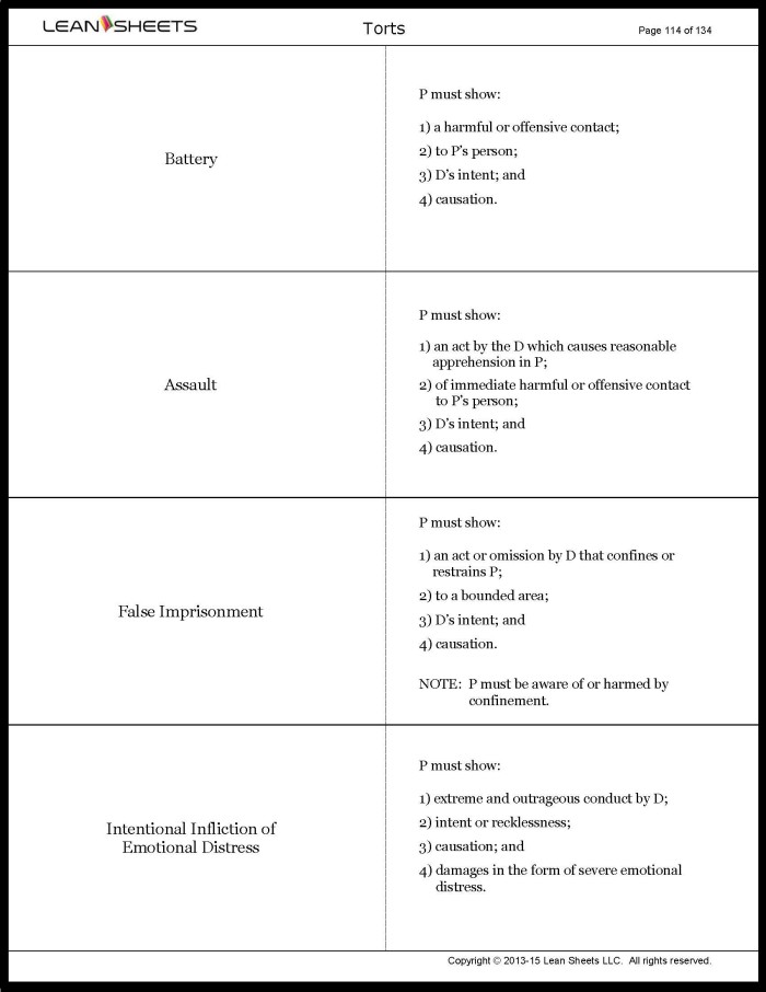 Sample torts essay